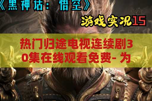 热门归途电视连续剧30集在线观看免费- 为什么你应该不容错过？