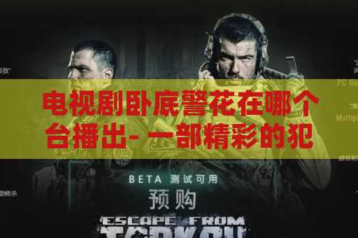 电视剧卧底警花在哪个台播出- 一部精彩的犯罪悬疑剧
