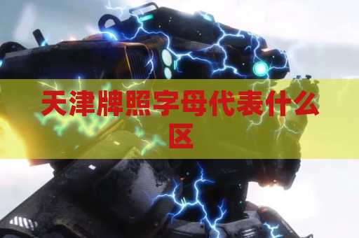 天津牌照字母代表什么区