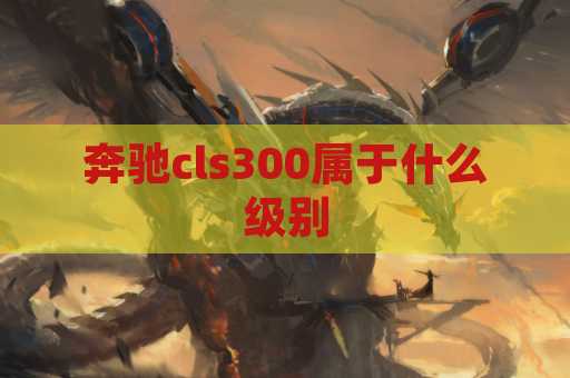 奔驰cls300属于什么级别