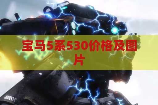 宝马5系530价格及图片