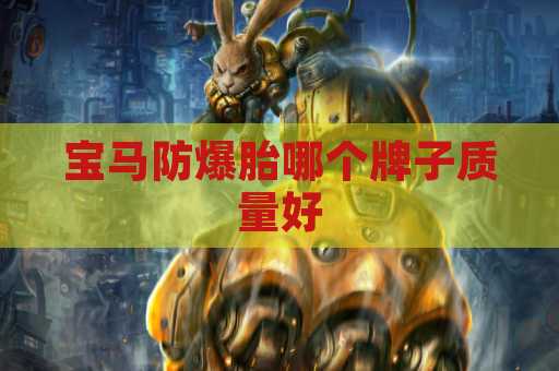 宝马防爆胎哪个牌子质量好
