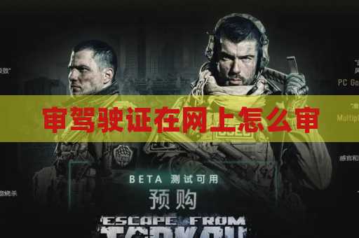 审驾驶证在网上怎么审