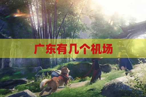广东有几个机场