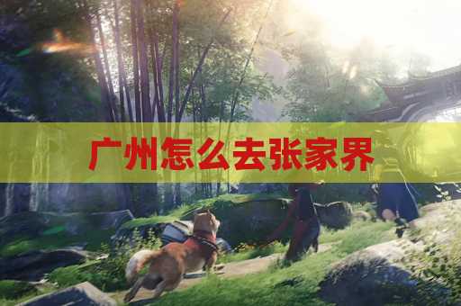 广州怎么去张家界