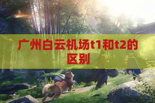 广州白云机场t1和t2的区别