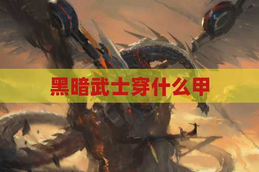 黑暗武士穿什么甲