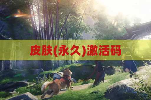 皮肤(永久)激活码