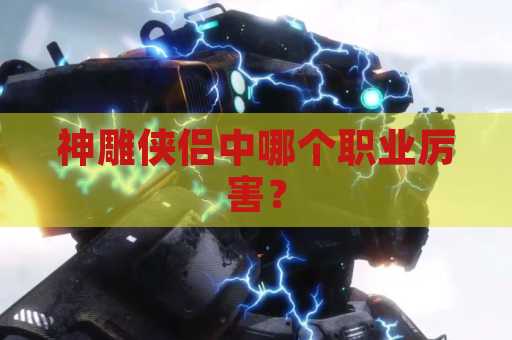 神雕侠侣中哪个职业厉害？