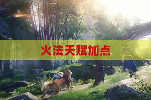 火法天赋加点