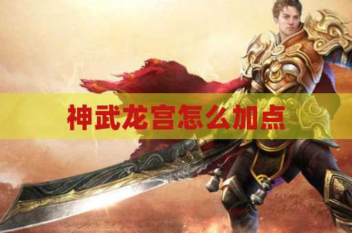 神武龙宫怎么加点