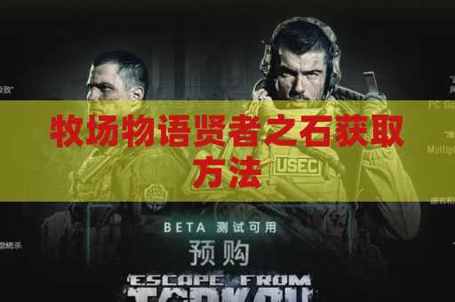 牧场物语贤者之石获取方法