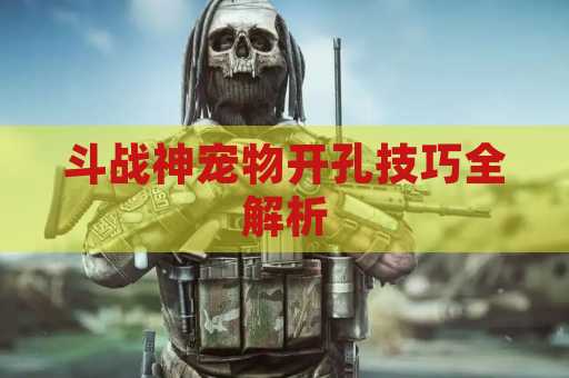 斗战神宠物开孔技巧全解析