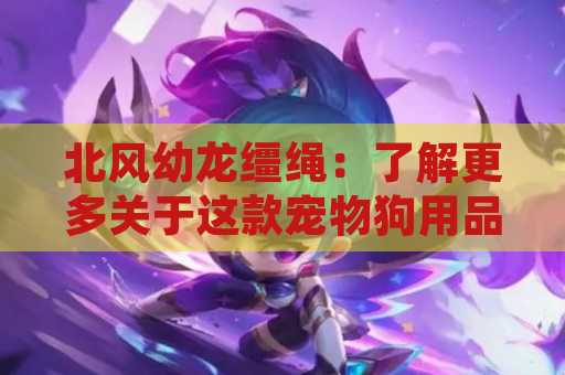 北风幼龙缰绳：了解更多关于这款宠物狗用品的信息