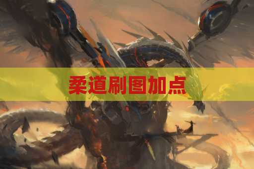 柔道刷图加点
