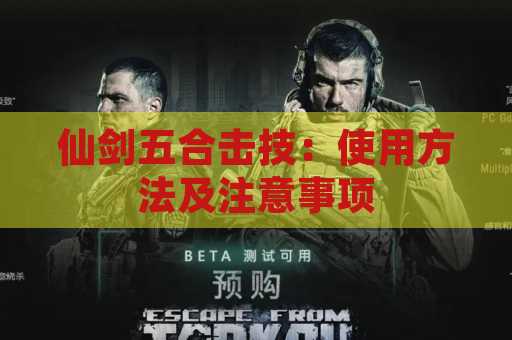 仙剑五合击技：使用方法及注意事项