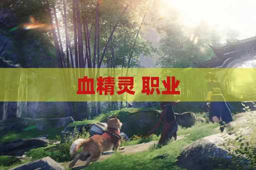 血精灵 职业