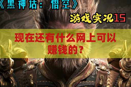 现在还有什么网上可以赚钱的？
