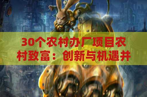30个农村办厂项目农村致富：创新与机遇并存
