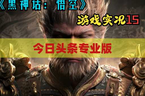 今日头条专业版