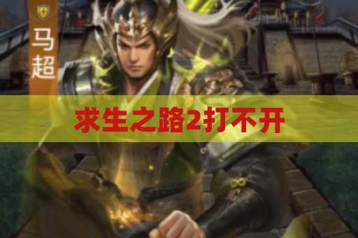 求生之路2打不开